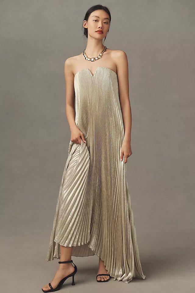 Solar Garden Dress