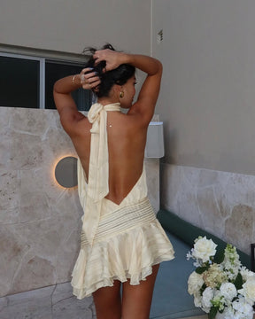 Golden Leme Dress